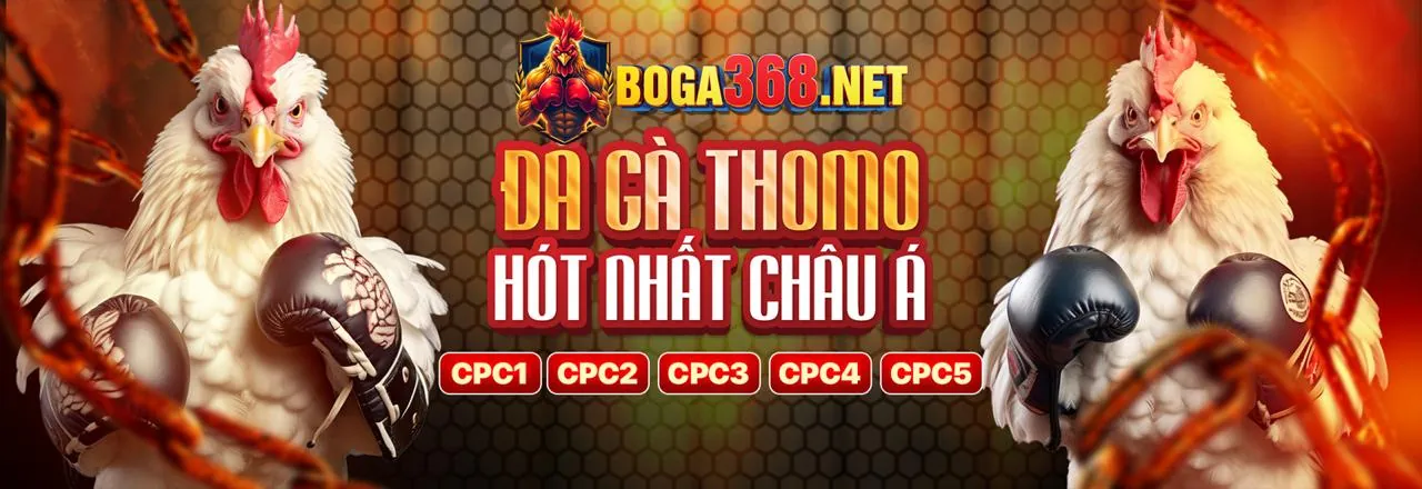 Sơ đồ cấp độ VIP tại 123duabi