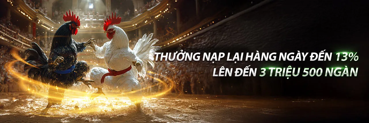 Đá Gà Trực Tuyến 123duabi